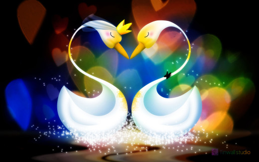 95598 (a): :2560x1600